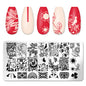 Nail Art Stamp Templates Stainless Steel Image - Pansytracy