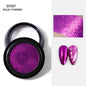 NAIL_ART_Solid_Powder_PIUPLR